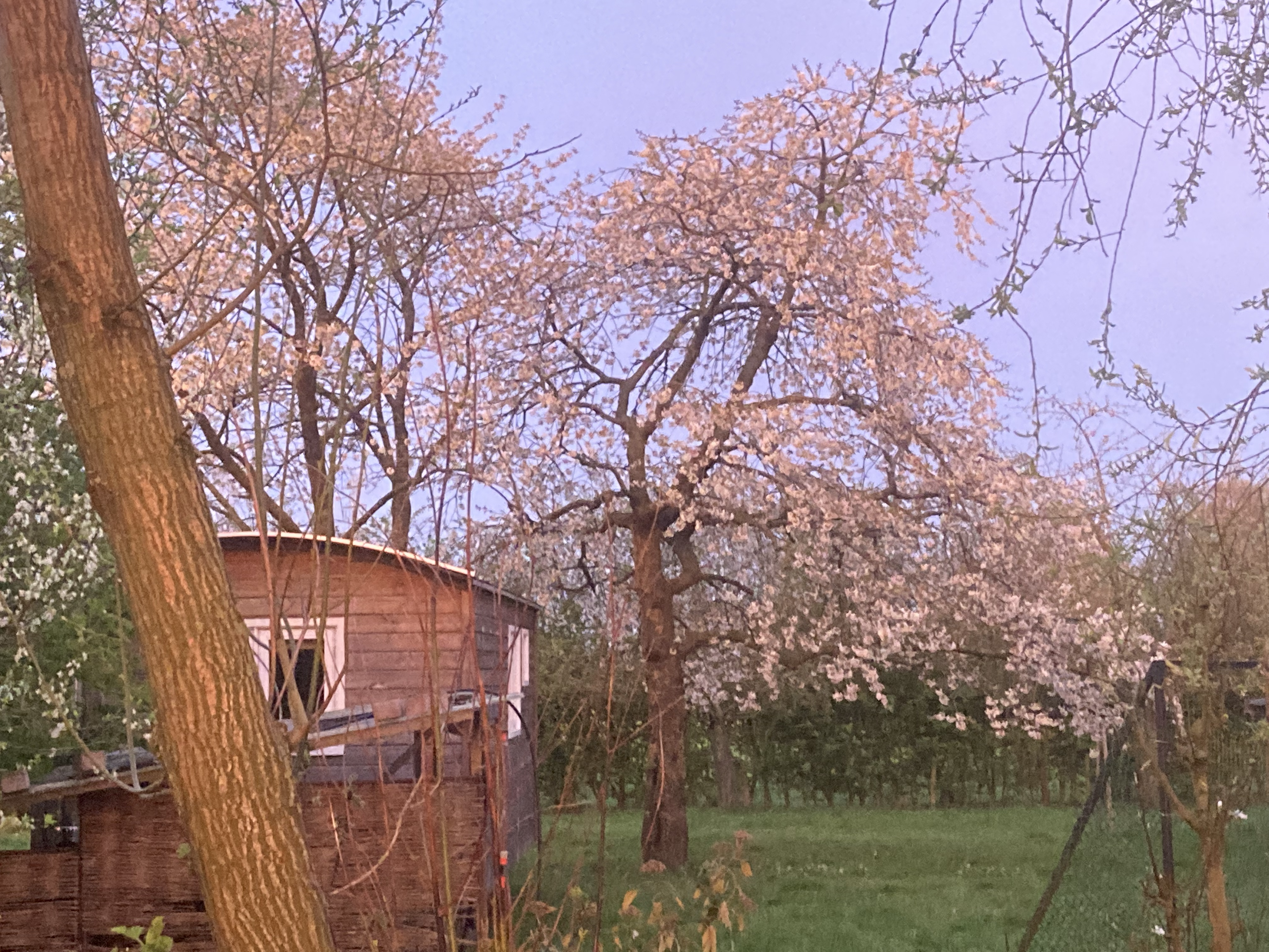 Let us get started on a clean slate