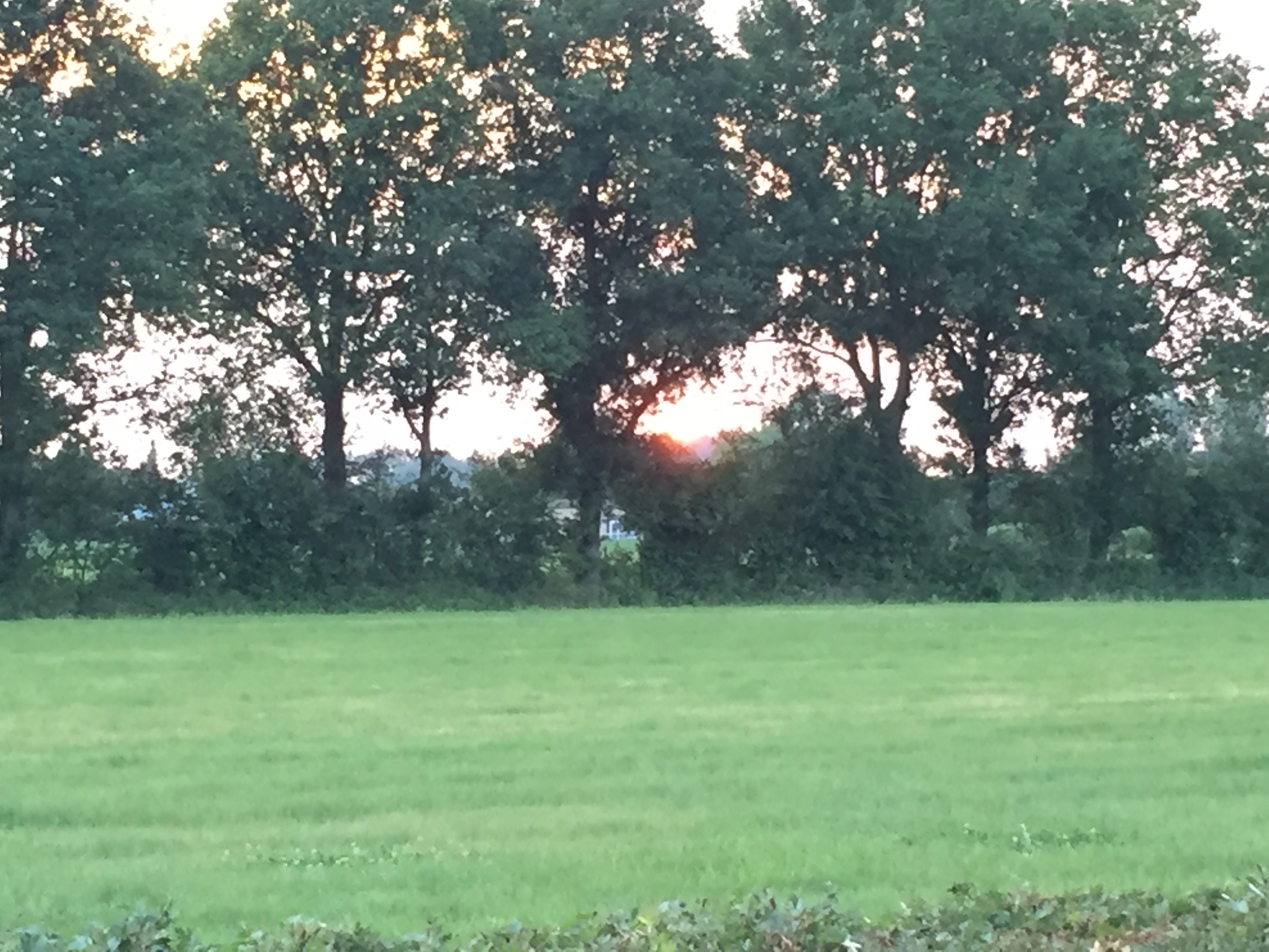 Let us get started on a clean slate